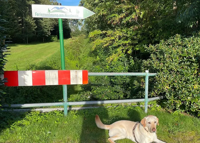 アパート Single-appartement Am Nordwald, Saterland